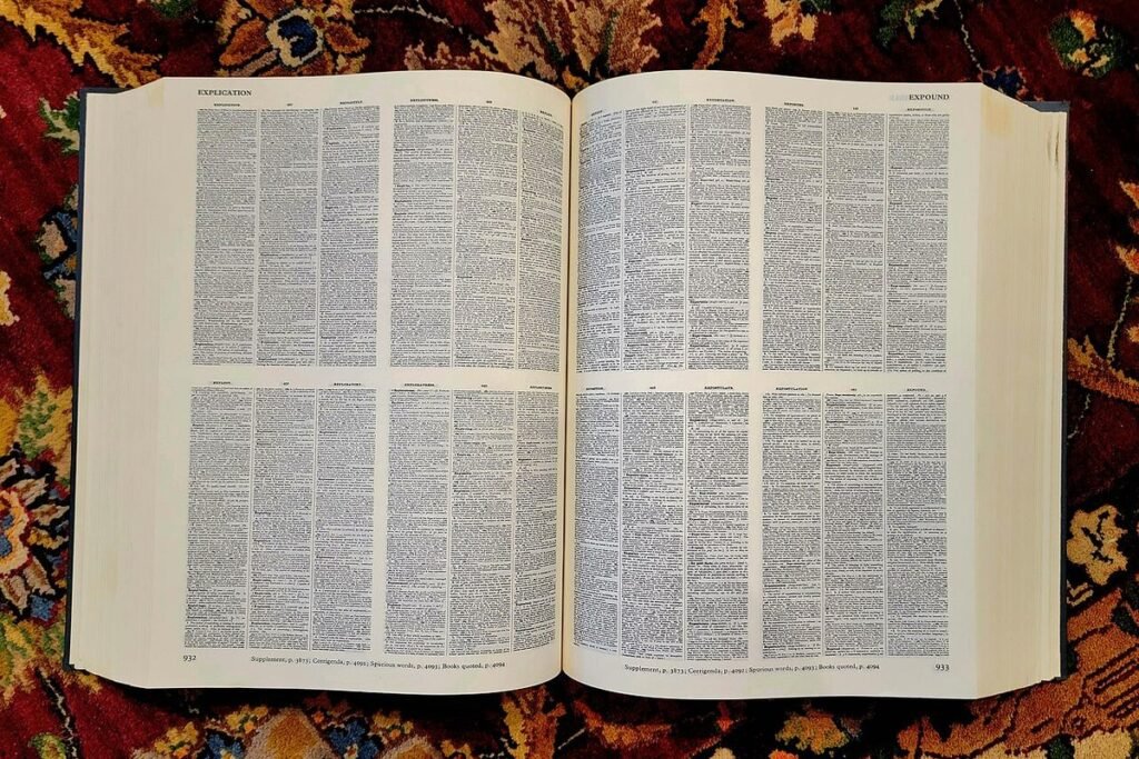 Gros dictionnaire ouvert posé sur un tapis